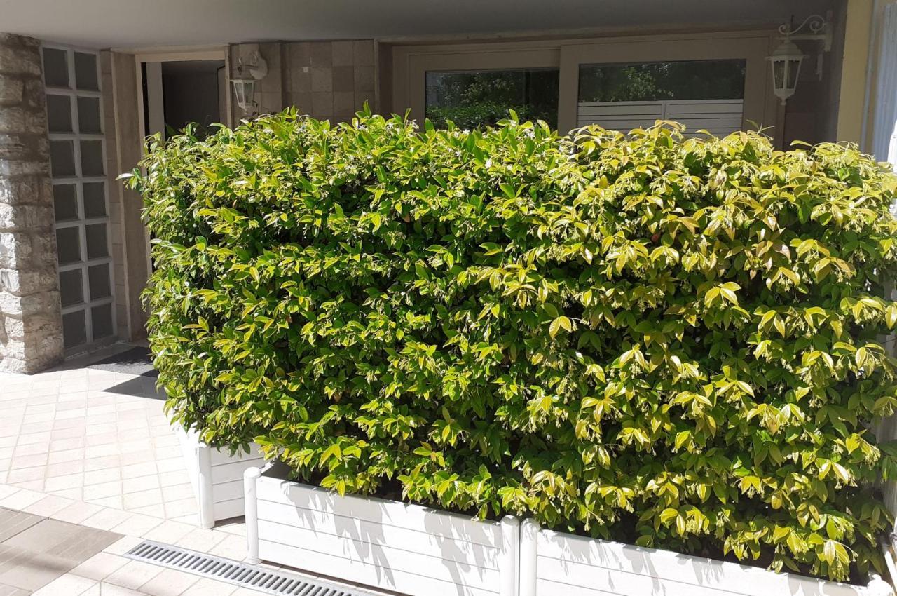 Minzoni94 - Twobedroom+Garden Lido di Camaiore Exterior photo